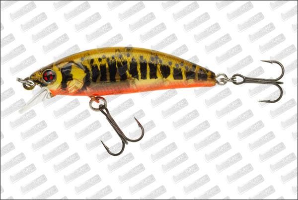 SAKURA Phoxy Minnow 60S HW #V01