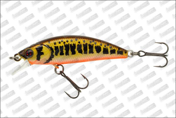 SAKURA Phoxy Minnow 60S HW #V02