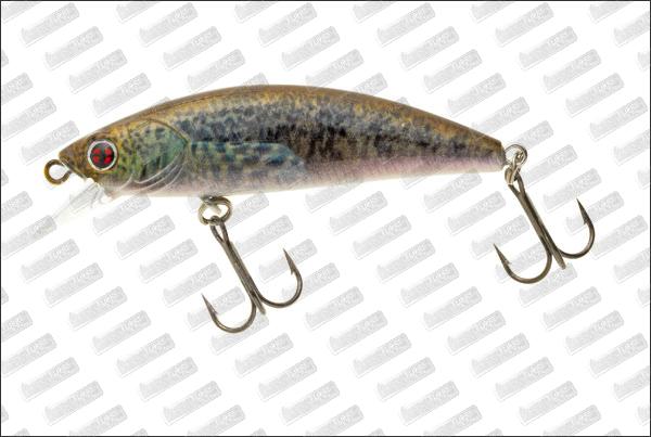 SAKURA Phoxy Minnow 60S HW #RL16