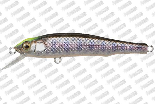 MEGABASS Great Hunting 70 Flat Side #Indicator Yamame