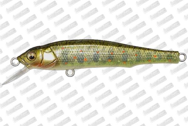 MEGABASS Great Hunting 70 Flat Side #Takumi Kawamasu