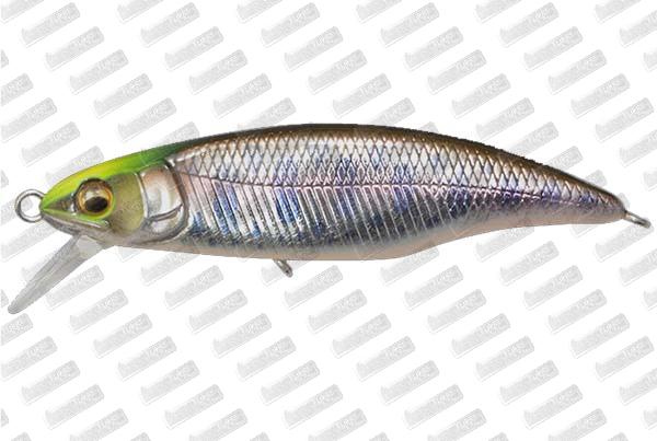 MEGABASS Great Hunting 50 Flat Side FS #Indicator Yamame