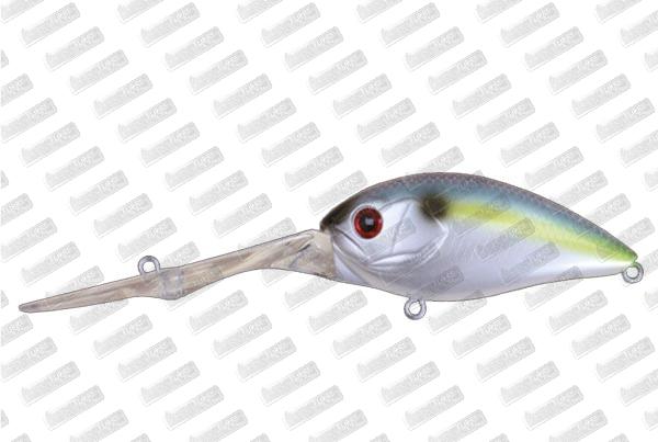 BASSDAY Mogul Crank Target 5 #P-50