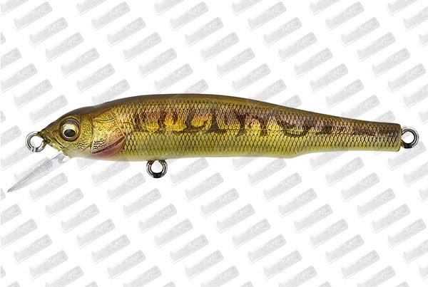 MEGABASS Great Hunting 70 Flat Side #Vairon