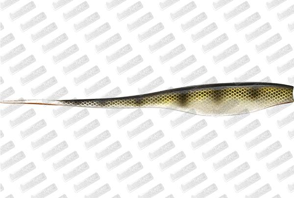 MEGABASS Sling Shad 7'' #French Tiger