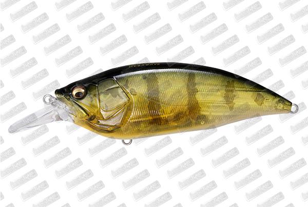 MEGABASS Big-M 40 #GP Pro Perch