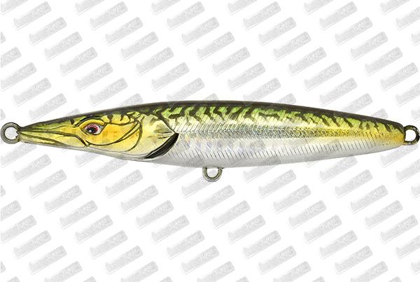 XORÜS Asturie 110 #Mackerel