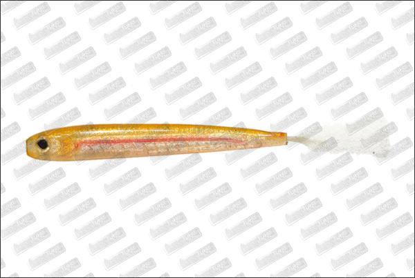 IMAKATSU Rainbow Shad 2.5'' #S-217