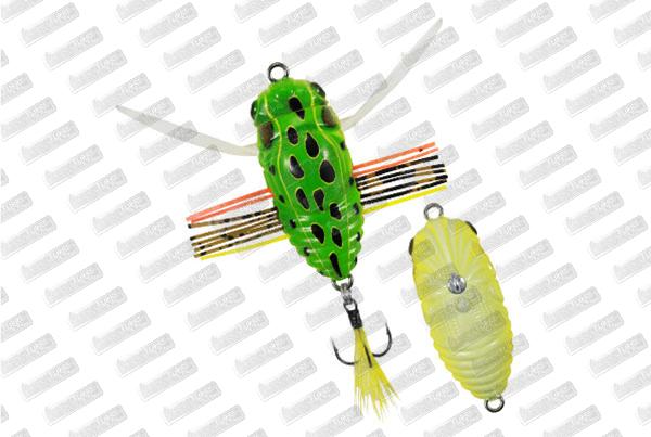 DUO Realis Koshinmushi #CCC3265