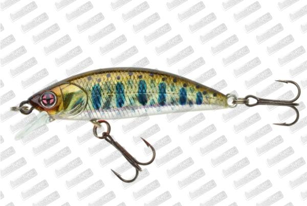 SAKURA Phoxy Minnow 60S HW #T11