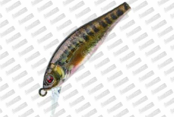 SAKURA Flat Phoxy Minnow 50S HW #RL07