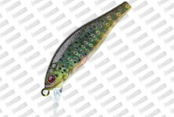 SAKURA Flat Phoxy Minnow 50S HW #RL04