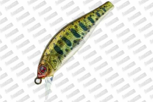 SAKURA Flat Phoxy Minnow 50S HW #T11