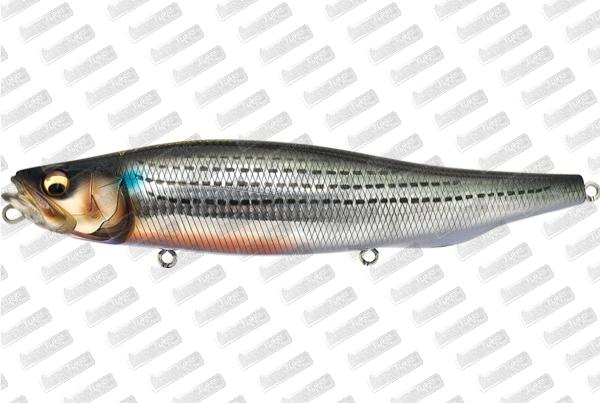 MEGABASS Megadog #Urado Mullet