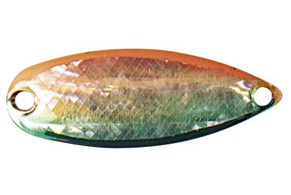 FOREST Miu Native Abalone 4,2g #04