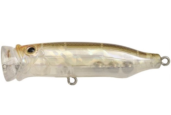 TACKLE HOUSE Feed Popper 70 #UB15