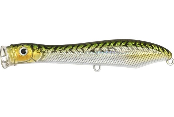 XORÜS Popchinko 140 #Mackerel