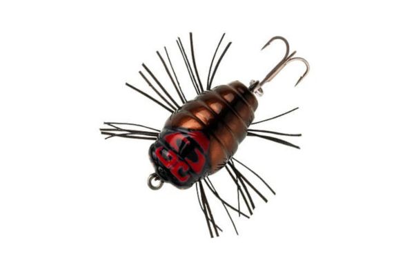 SAKURA Notobug F 30 #10