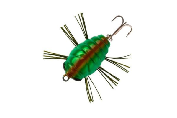 SAKURA Notobug F 30 #11