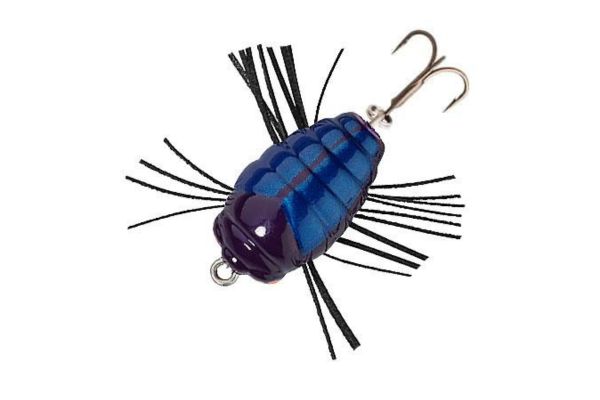 SAKURA Notobug F 30 #DR