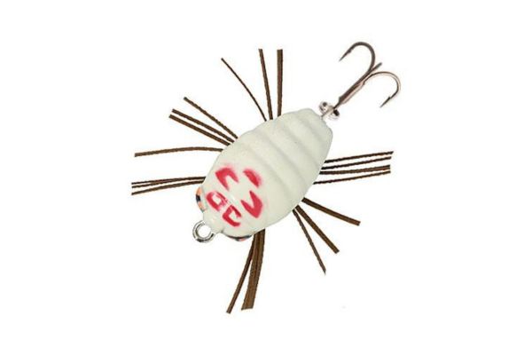 SAKURA Notobug F 30 #GB