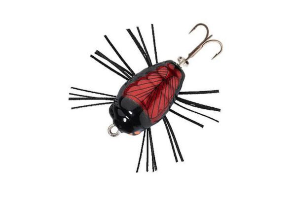 SAKURA Notobug F 22 #BLB