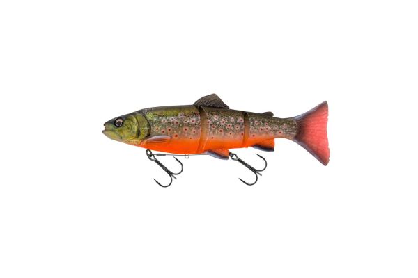 SAVAGE GEAR 3D Line Thru Trout 25cm #Artic Char