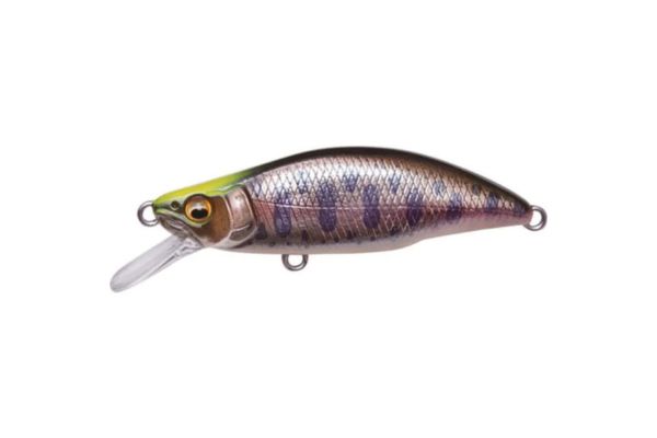 MEGABASS Great Hunting 64 Humpback  #Al Indicator Yamame