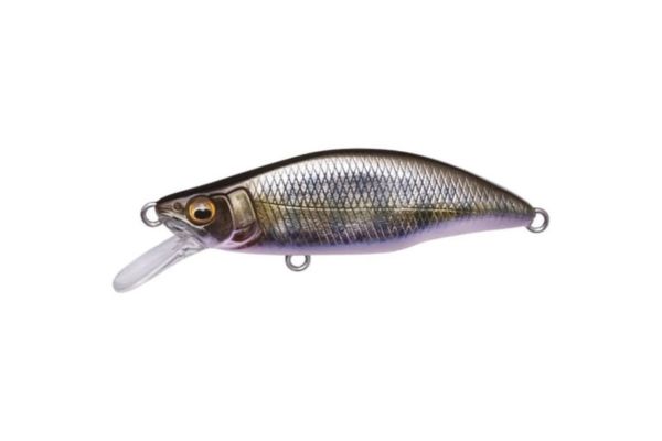 MEGABASS Great Hunting 51 Humpback #Takumi Sake Chigyo