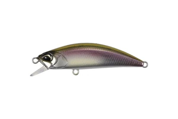 DUO Spearhead Ryuki 50 SP #CRA3061 Komochi Wakasagi