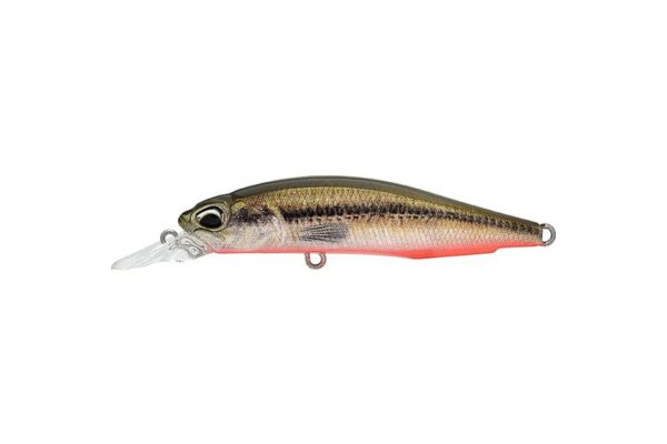 DUO Realis Rozante 63 SP #ACC4830 Green Vairon RB ND