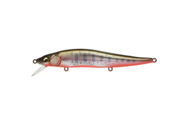 MEGABASS Vision 110 FW #Yamame RB