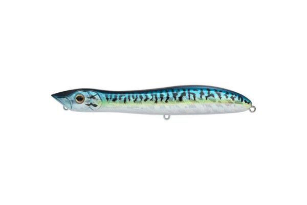 XORÜS Patchinko 125 #Blue Mackerel