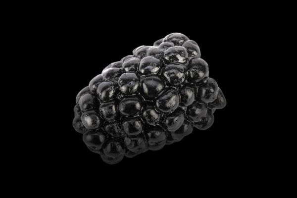 FISHUP Mûre #101 Black