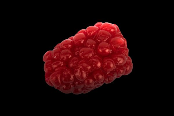 FISHUP Mûre #504 Raspberry