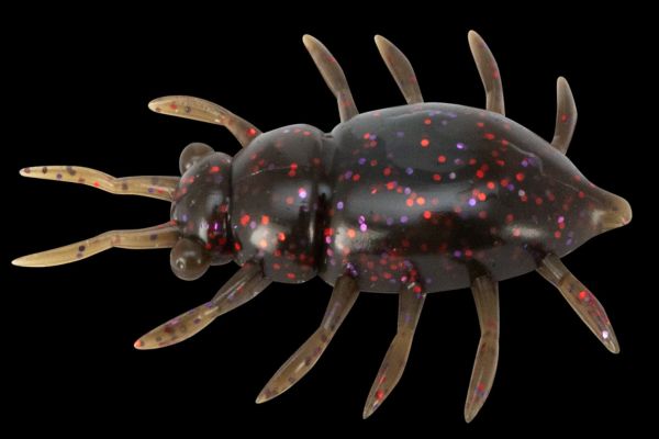 FISHUP Maybug 1