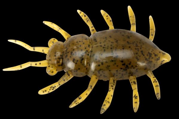 FISHUP Maybug 1,3'' #74 Green Pumpkin Seed