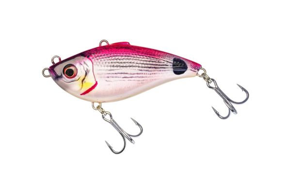 WESTIN Buzzvibe 100FS #Pink Saddled Bream