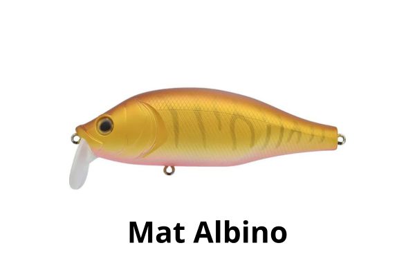 XORÜS Dango 120 SR #Mat Albino