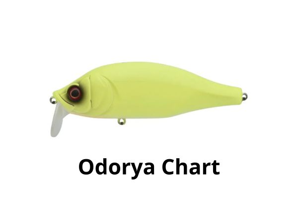 XORÜS Dango 120 SR #Odorya Chart