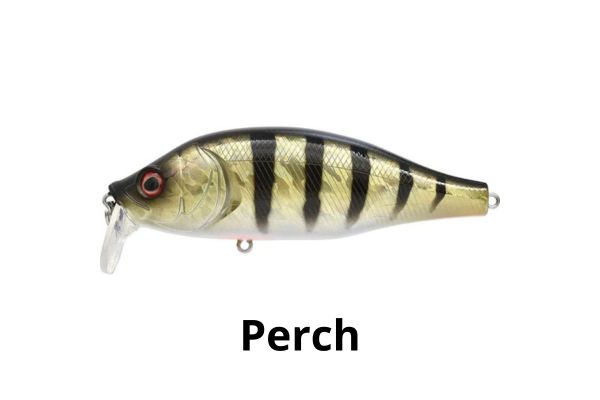 XORÜS Dango 120 SR #Perch