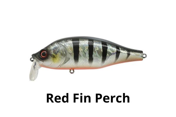 XORÜS Dango 120 SR #Red Fin Perch