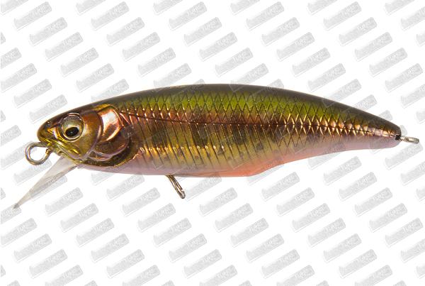 MEGABASS Great Hunting World Spec 52S #Gold Yamame