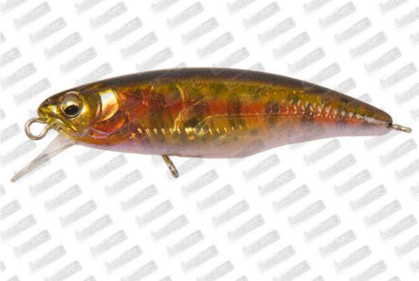 MEGABASS Great Hunting World Spec 52S #Seethrough Yamame