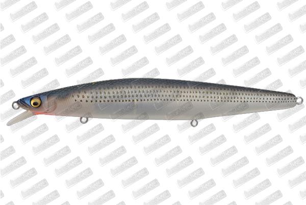 MEGABASS Marine Gang 120S Buy on line