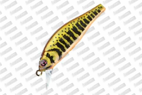 SAKURA Flat Phoxy Minnow 60S HW #V02