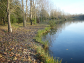 Team Pêche Samedi 12 novembre